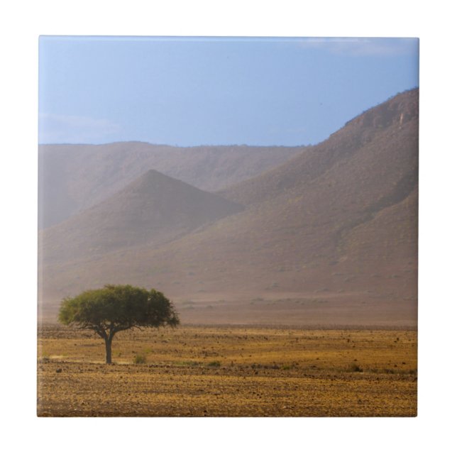 Namibia Africa Desert Scenery Landscape Nature Tile (Front)