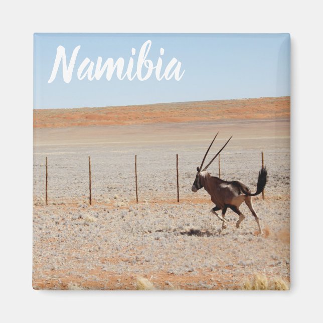 Namibia Africa Landscape Namibian Desert Oryx Magnet (Front)