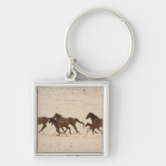 Namibia, Aus. Group of running wild horses on Key Ring (Front)