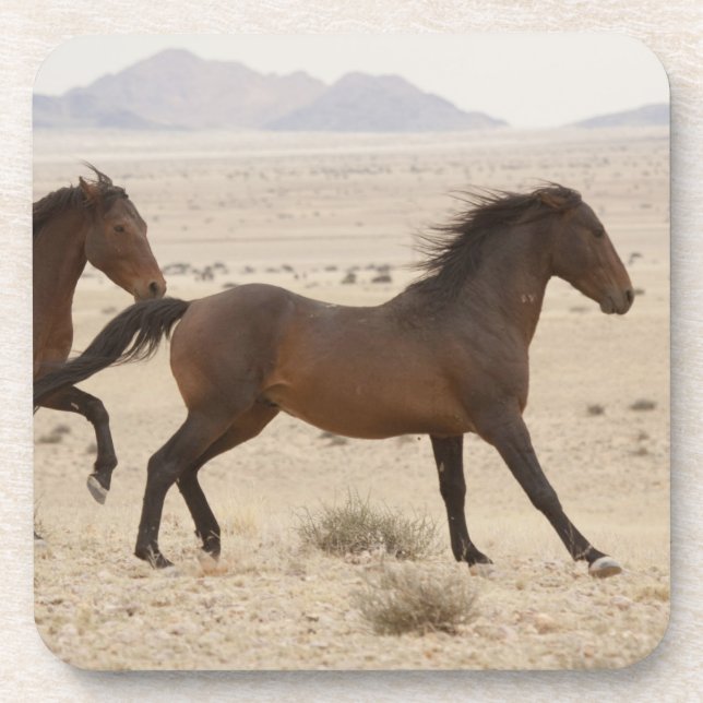 Namibia, Aus. Wild horses running on the Namib Coaster (Front)