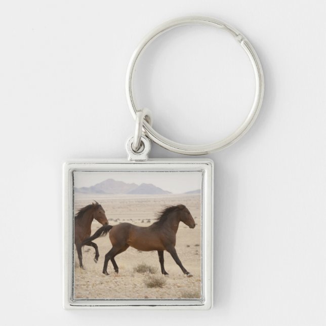 Namibia, Aus. Wild horses running on the Namib Key Ring (Front)