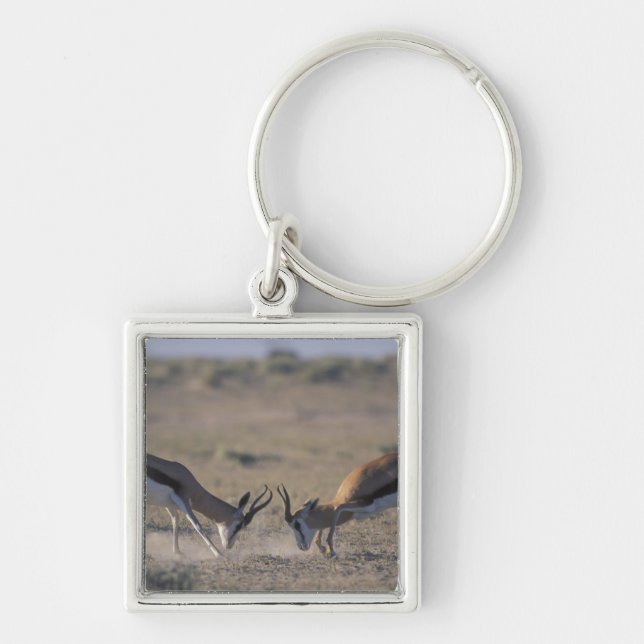 Namibia, Etosha National Park, Two male Key Ring (Front)