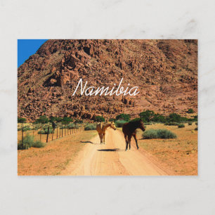 Namibia Koiimasis Ranch Tiras Mountains Landscape Postcard