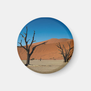 Namibia - Petrified trees at Dead Vlei magnet