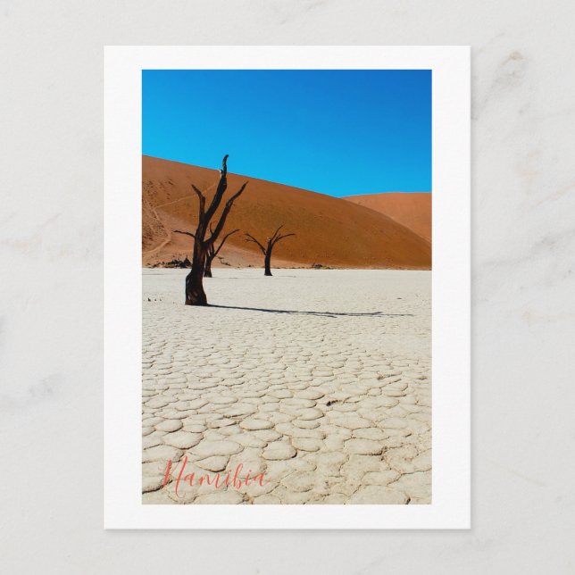Namibia Sand Dunes Landscape Sossusvlei Postcard (Front)