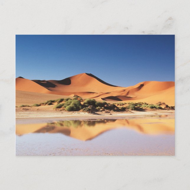 Namibia, Sossusvlei Region, Sand Dunes at desert Postcard (Front)