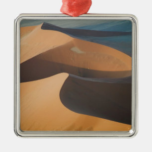Namibia, Soussevlei, Great Red Sand Dunes, Metal Tree Decoration