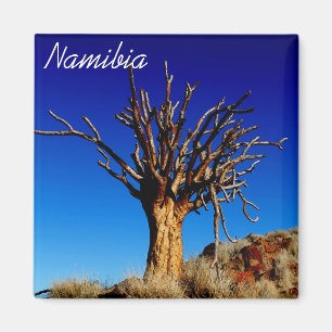 Namibia Tirool Namib Desert Landscape Kokerboom Magnet