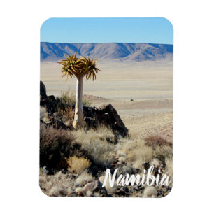 Namibia Tirool Namib Desert Landscape Kokerboom Magnet