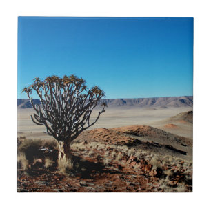 Namibia Tirool Namib Desert Landscape Kokerboom Tile