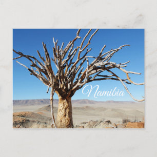Namibia Tirool Namib Desert Landscape Nature Postcard