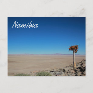 Namibia Tirool Namib Desert Landscape Nature Postcard