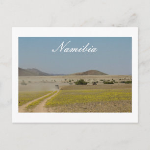 Namibia Wilderness Road Landscape Nature Postcard
