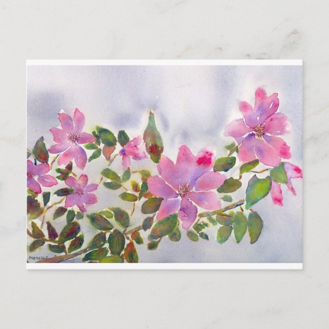 Nana's Roses Postcard (Front)