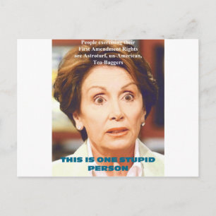 NANCY PELOSI- ONE STUPID PERSON POSTCARD