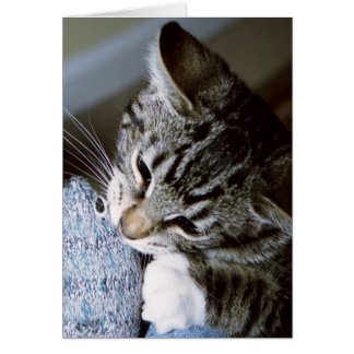nancy with mouse