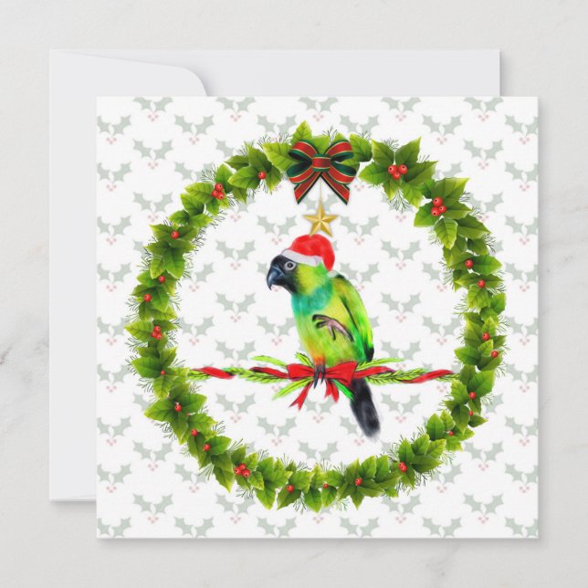 Nanday Conure Santa with Holly Leaves and Wreath Holiday Card (Front)