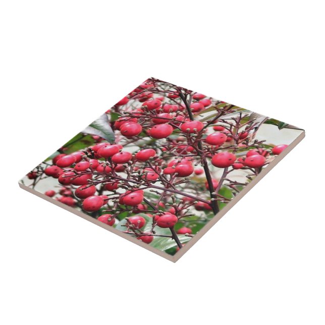 Nandina bush with red ripe berries tile (Side)
