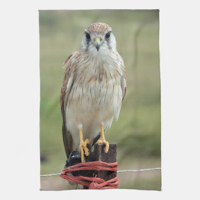 Nankeen Kestrel Tea Towel (Vertical)