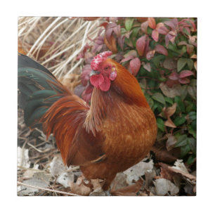 Nankin Bantam Chicken Tile