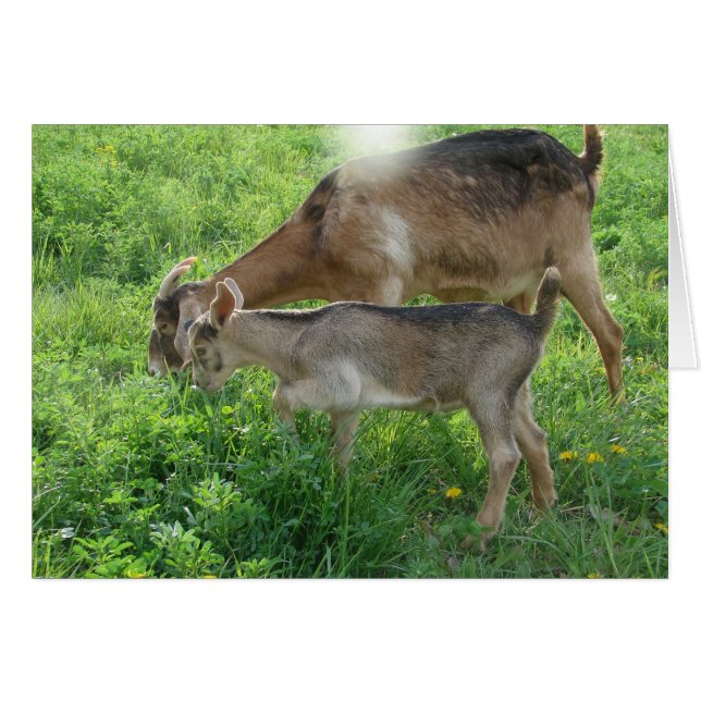 Nanny and Kid (Front Horizontal)