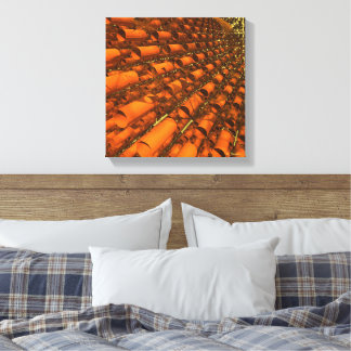 Nano Tubes and Gossamer Filaments Canvas Print