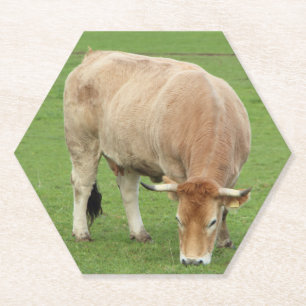 Nantaise cow in a field paper coaster