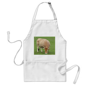 Nantaise cow in a field standard apron