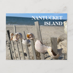 Nantucket Beach Shells on a Fence Postcard