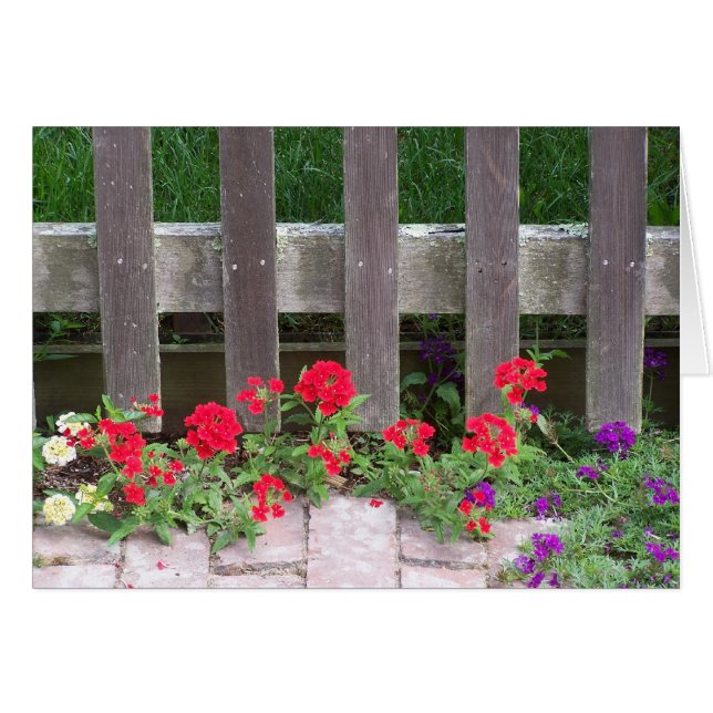 Nantucket Floral Collection (Front Horizontal)