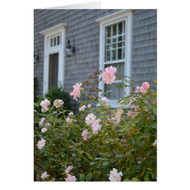 Nantucket Roses Card (Front)