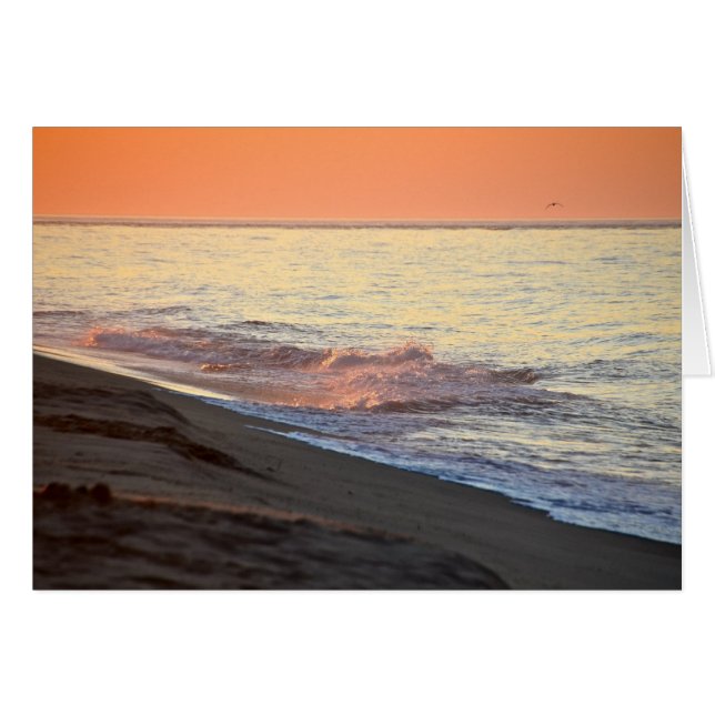nantucket sunrise (Front Horizontal)