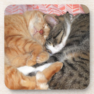 Nap Buddies Coaster