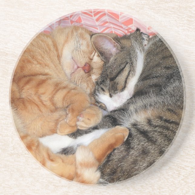 Nap Buddies Coaster (Front)