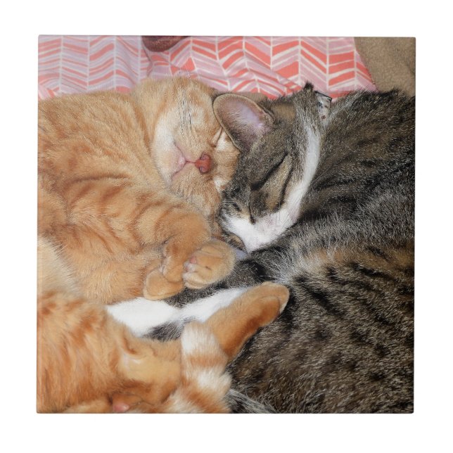 Nap Buddies Tile (Front)