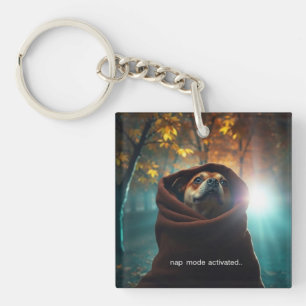 nap mode activated key ring