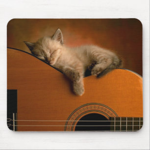 Nap of the kitten on guitar mouse mat