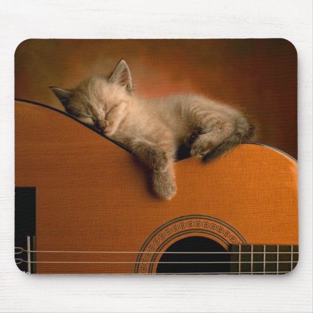 Nap of the kitten on guitar mouse mat (Front)