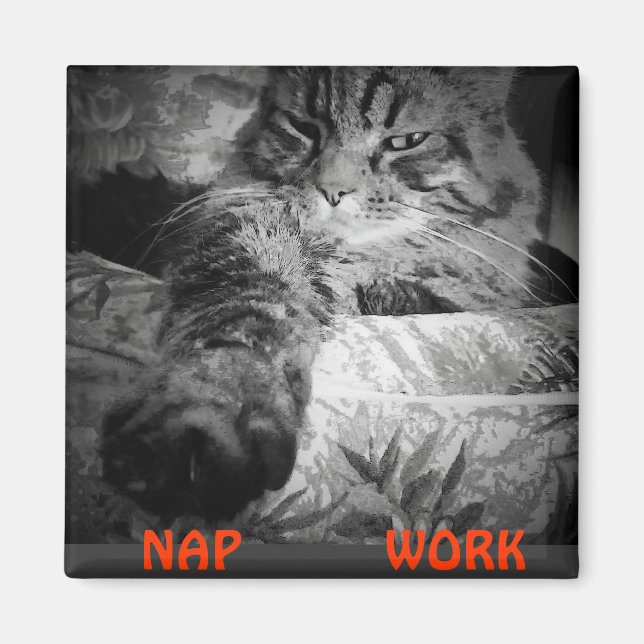 Nap or Work? Kitty Says "Nap" Magnet (Front)
