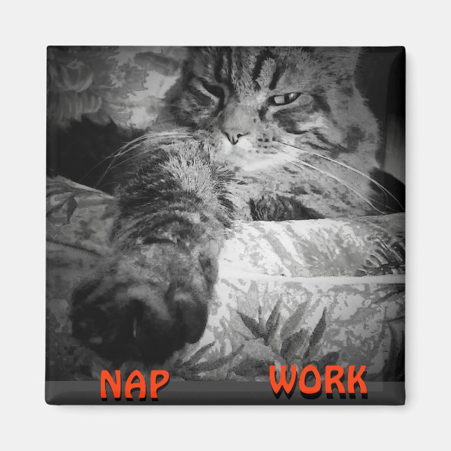 Nap or Work? Kitty Says "Nap" Meme Magnet (Front)