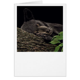 "Nap Time" Bear Card