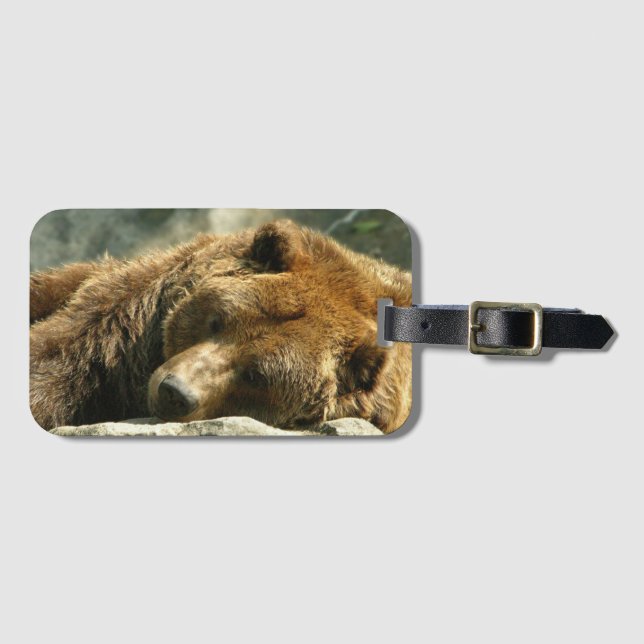 Nap Time Bear Luggage Tag (Front Horizontal)