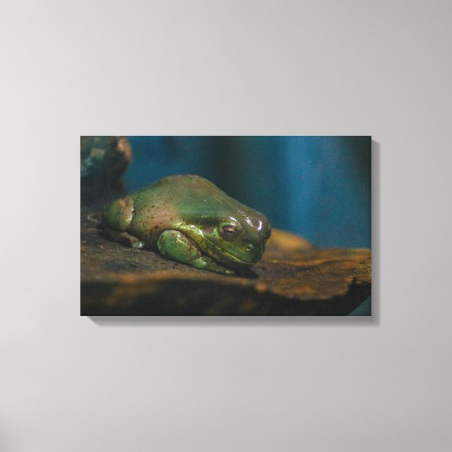 Nap Time Canvas Print (Front)