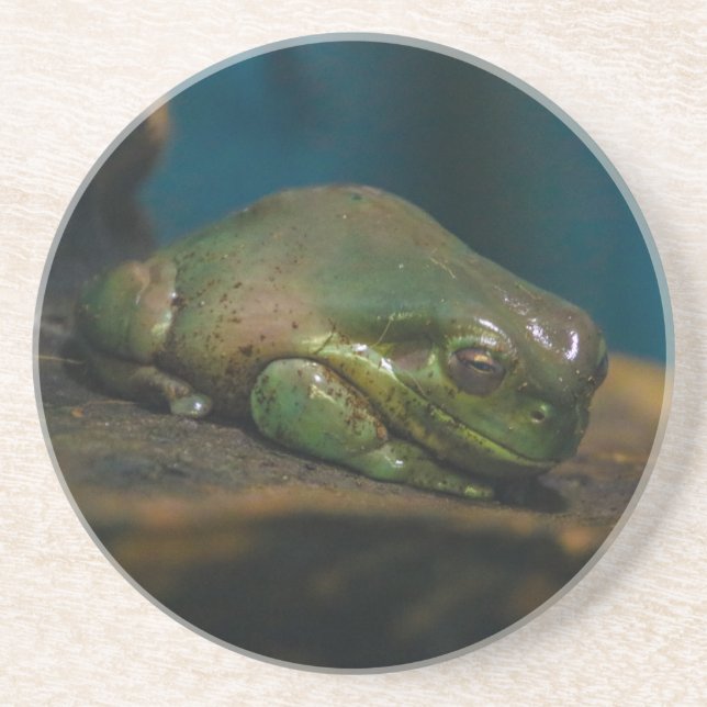 Nap Time Coaster (Front)