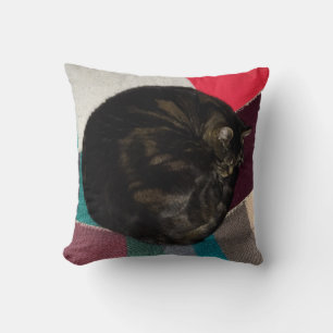 Nap Time Dave Cushion