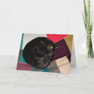 Nap Time Dave Greetings Card