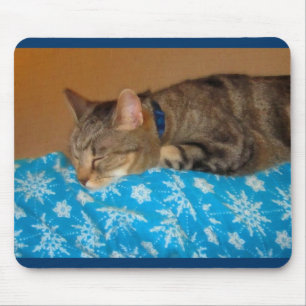 Nap Time For Indigo Mouse Mat
