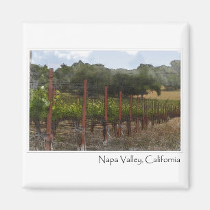 Napa Valley California Grape Vineyard Magnet