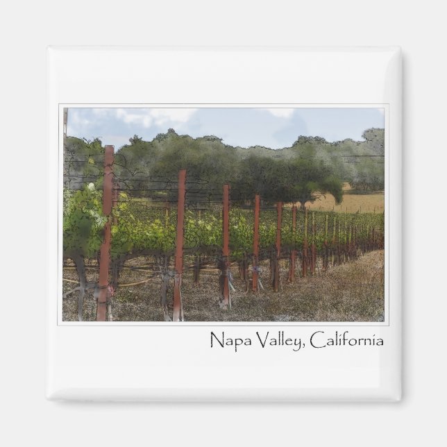Napa Valley California Grape Vineyard Magnet (Front)