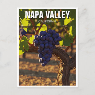 Napa Valley California Mustard Flowers Postcard